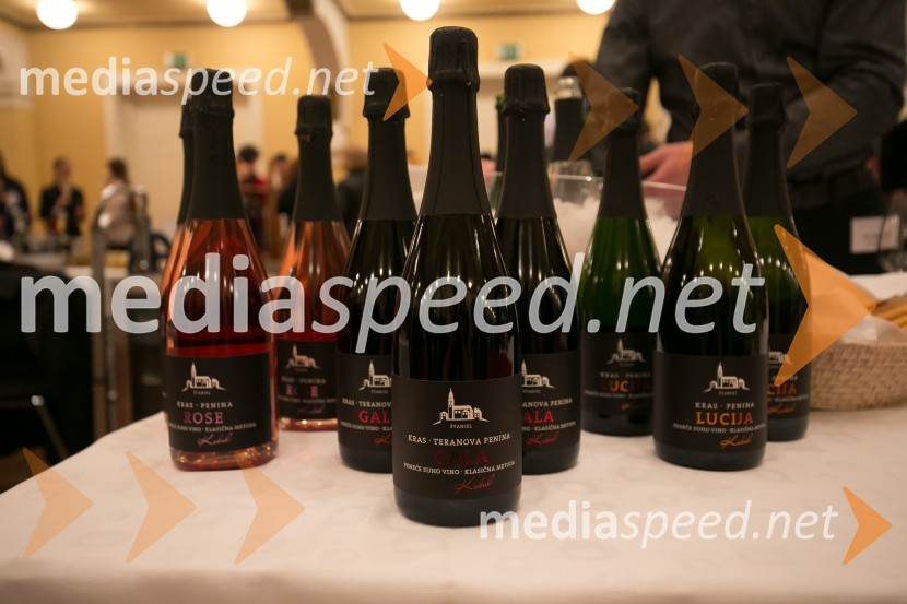 3. Salon penečih vin3. Salon penečih vin