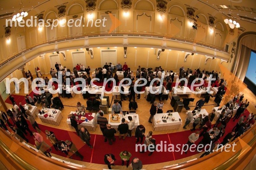 3. Salon penečih vin3. Salon penečih vin