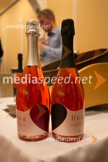 3. Salon penečih vin