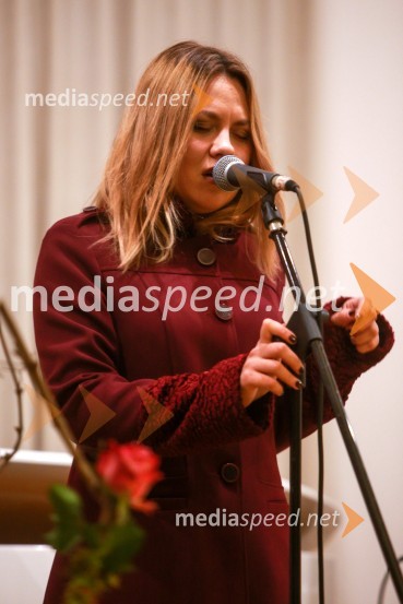 Steyerjevi okusi na prestopni dan s Tomažem Kavčičem in Petrom Grašom