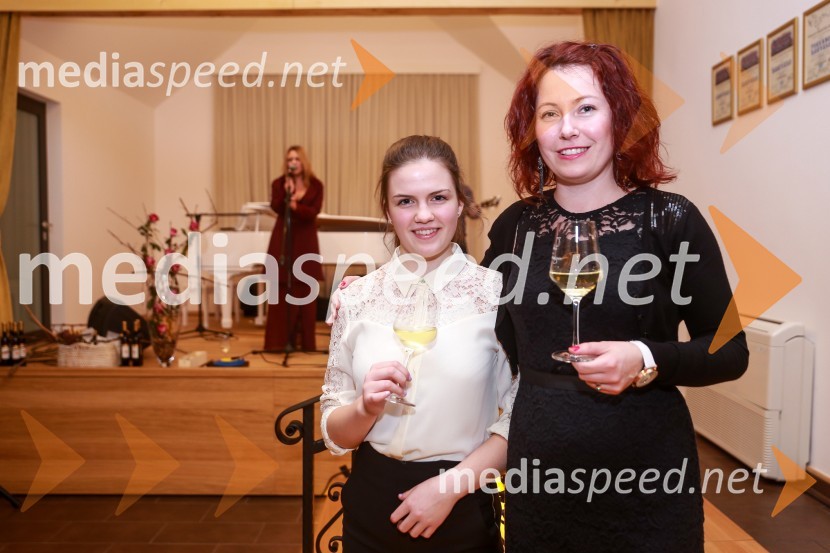  Vaneja Steyer, Steyer Vina;  Sabina SteyerSteyerjevi okusi na prestopni dan s Tomažem Kavčičem in Petrom Grašom