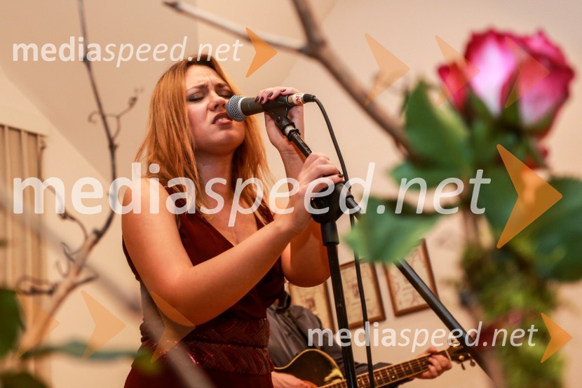 Steyerjevi okusi na prestopni dan s Tomažem Kavčičem in Petrom Grašom