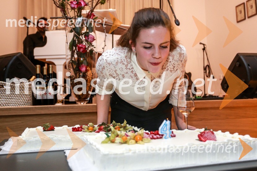  Vaneja Steyer, Steyer VinaSteyerjevi okusi na prestopni dan s Tomažem Kavčičem in Petrom Grašom