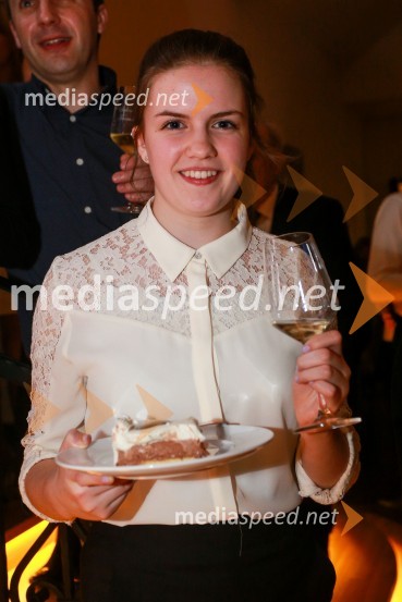  Vaneja Steyer, Steyer VinaSteyerjevi okusi na prestopni dan s Tomažem Kavčičem in Petrom Grašom