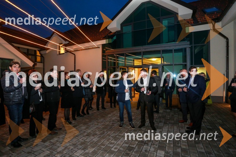  Tomaž Kavčič, kuharski mojster, Pri Lojzetu, Zemono;  Danilo Steyer,  Steyer VinaSteyerjevi okusi na prestopni dan s Tomažem Kavčičem in Petrom Grašom