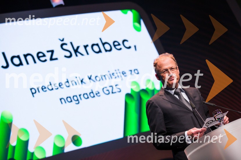  Janez  Škrabec, direktor Riko d.o.o., predsednik Slovensko-ruskega poslovnega sveta, predsednik Lions kluba Ljubljana Iliria48. podelitev nagrad Gospodarske zbornice Slovenije