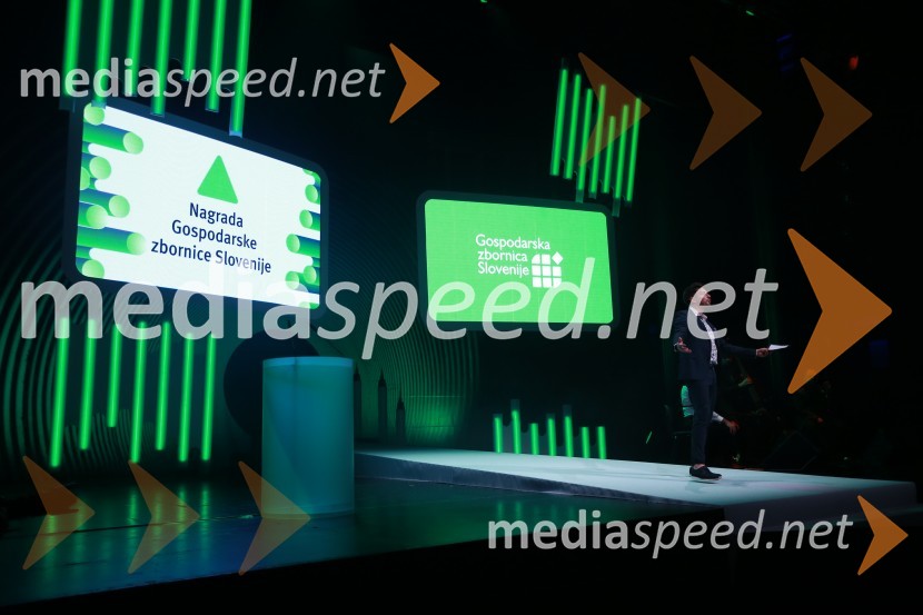  Tin Vodopivec, stand up komik48. podelitev nagrad Gospodarske zbornice Slovenije