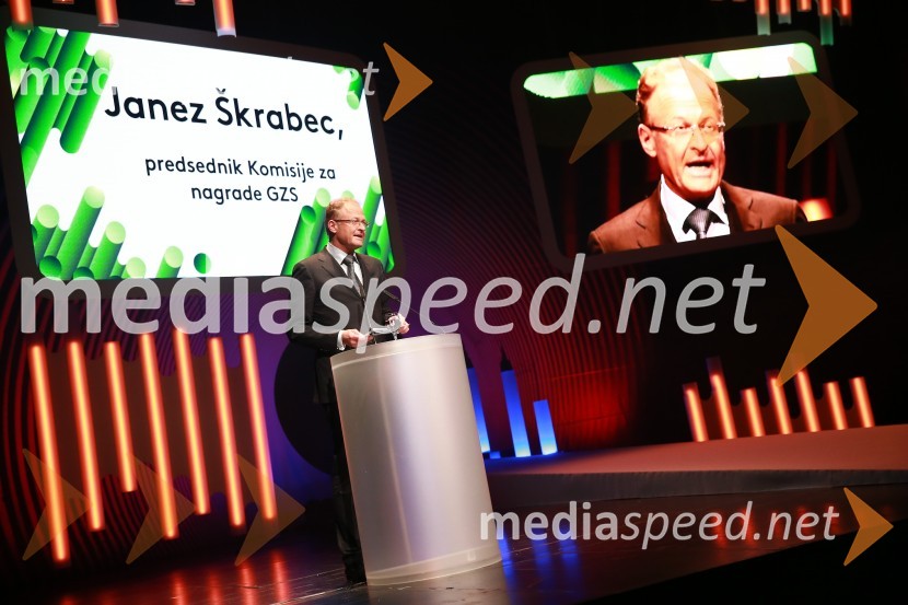  Janez  Škrabec, direktor Riko d.o.o., predsednik Slovensko-ruskega poslovnega sveta, predsednik Lions kluba Ljubljana Iliria48. podelitev nagrad Gospodarske zbornice Slovenije