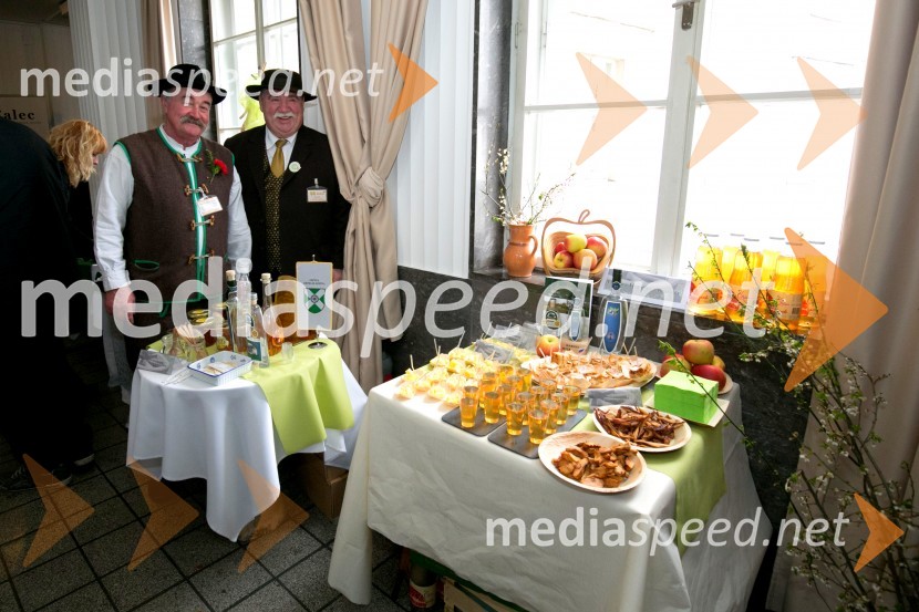 Zlati kamen 2016, podelitev priznanj