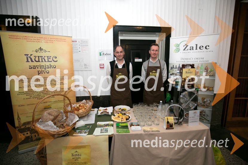 Zlati kamen 2016, podelitev priznanj