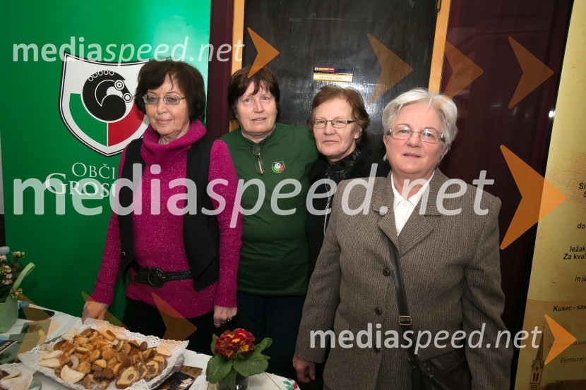 Zlati kamen 2016, podelitev priznanj