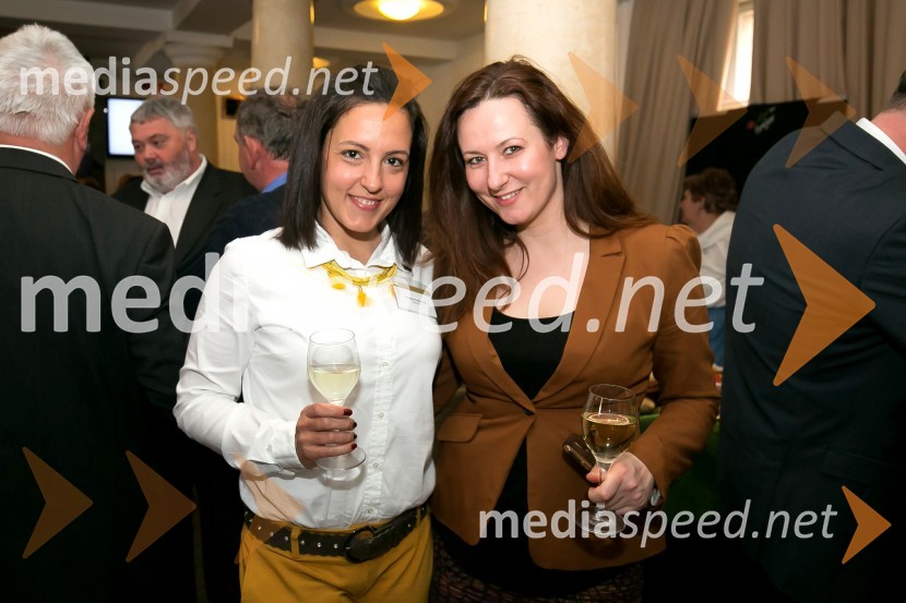  Polona Koštomaj, direktorica prodaje Planet GV;  ... Zlati kamen 2016, podelitev priznanj