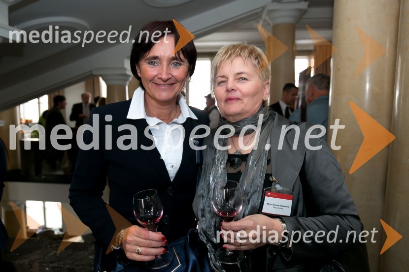  ... ;  Mojca Čemas Stjepanovič, županja občine ČrnomljeZlati kamen 2016, podelitev priznanj