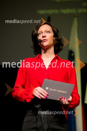  Saša Mrak, Planet GV, vodja programskega odbora Zlati kamenZlati kamen 2016, podelitev priznanj