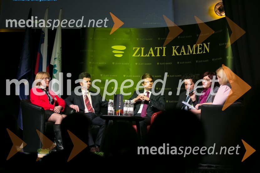  Polona Demšar Mitrovič, Ministrstvo za infrastrukturo;  Dejan Crnek, podžupan, Mestna občina Ljubljana, Lista Zorana Jankovića, predsednik športnega društva Narodni dom;  Miha Valentinčič, direktor Razvoja energetike in okolja, Petrol; mag. Hinko Šolinc, direktor, Eko sklad; mag. Tanja Bogataj, državna sekretarka, Ministrstvo za javno upravo;  Mateja Kegel Kozlevčar, vodja marketinga in dogodkov, novinarka Energetika.netZlati kamen 2016, podelitev priznanj