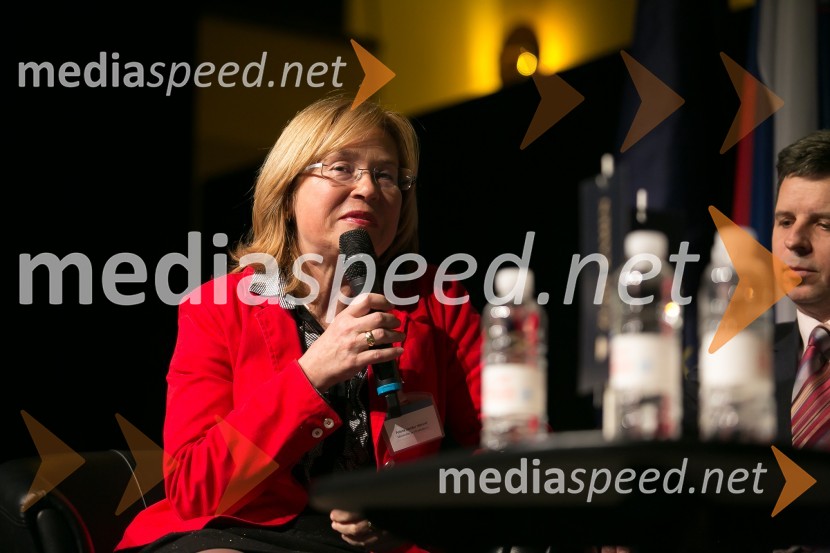  Polona Demšar Mitrovič, Ministrstvo za infrastrukturoZlati kamen 2016, podelitev priznanj