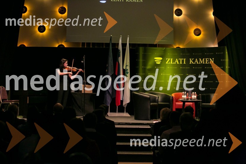 Zlati kamen 2016, podelitev priznanj