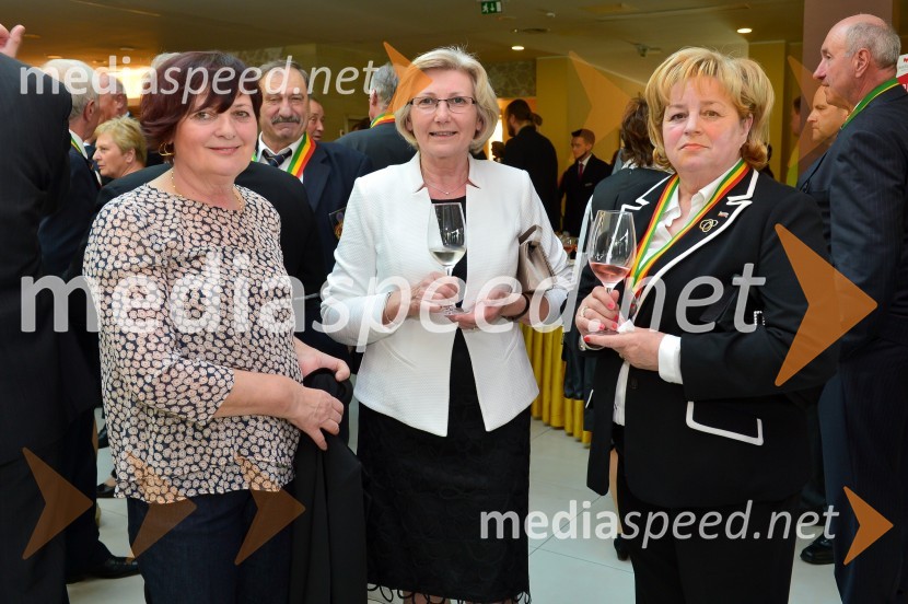 Viteška svečanost ob ustanovitvi Legature za Pomurje