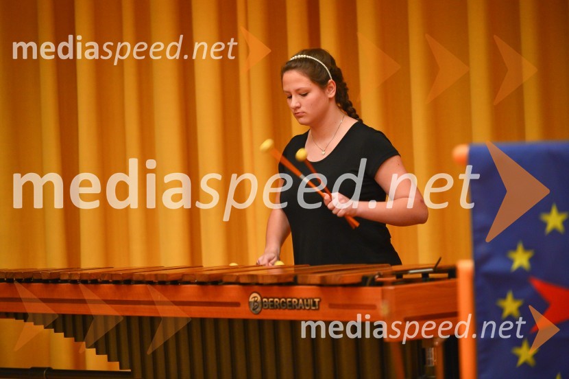 Viteška svečanost ob ustanovitvi Legature za Pomurje