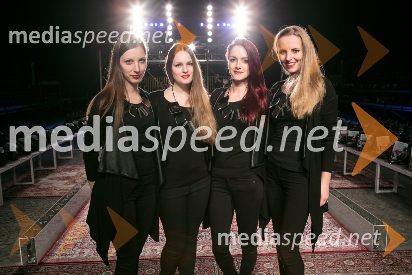 Ljubljana fashion week 2016, 1. dan, obiskovalci