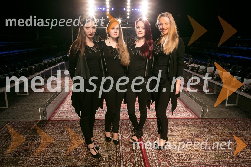 Ljubljana fashion week 2016, 1. dan, obiskovalci