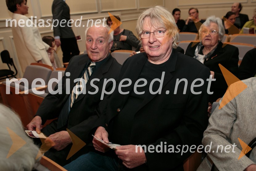 Zaključni koncert 31. Slovenskih glasbenih dnevov