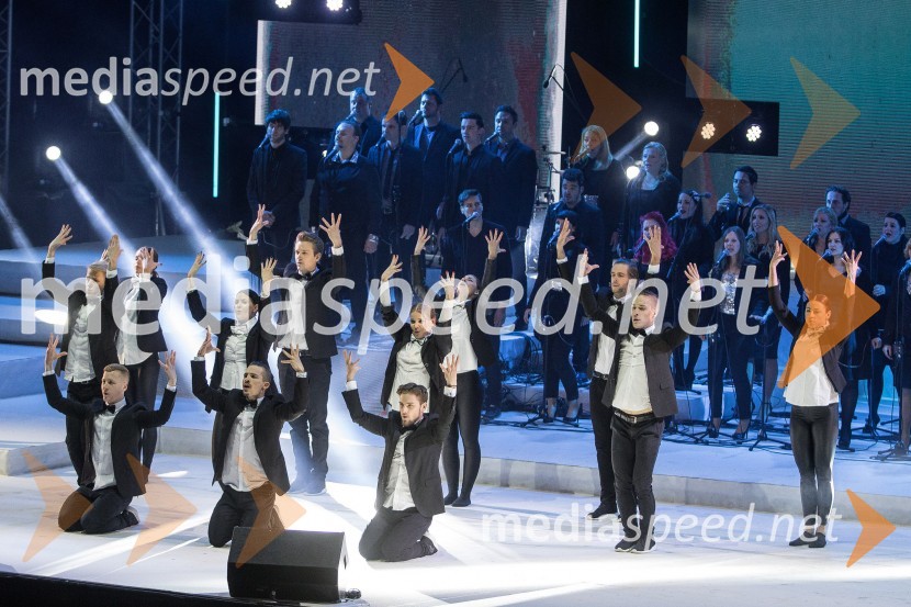 Državna proslava ob dnevu boja proti okupatorjuDržavna proslava ob dnevu boja proti okupatorju