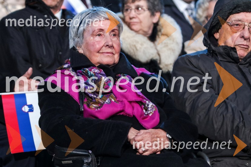 Državna proslava ob dnevu boja proti okupatorju