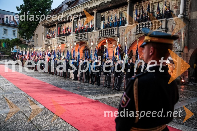 Državna proslava ob dnevu boja proti okupatorjuDržavna proslava ob dnevu boja proti okupatorju