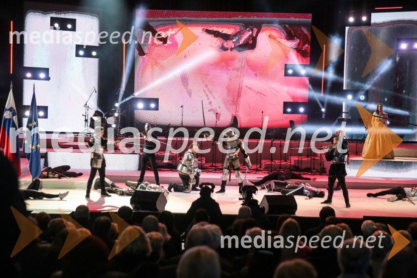 Državna proslava ob dnevu boja proti okupatorjuDržavna proslava ob dnevu boja proti okupatorju