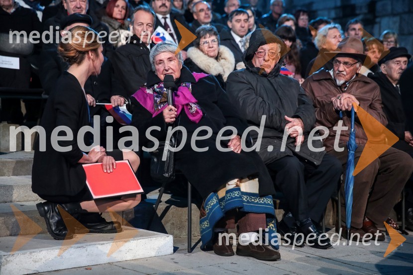 Državna proslava ob dnevu boja proti okupatorju