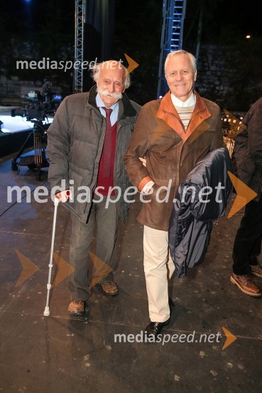 dr. Janez Stanovnik, častni predsednik ZZB za vrednote NOB Slovenije;  ... Državna proslava ob dnevu boja proti okupatorju