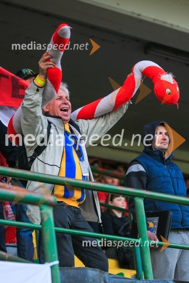 Žagar v Krškem s štirimi točkami