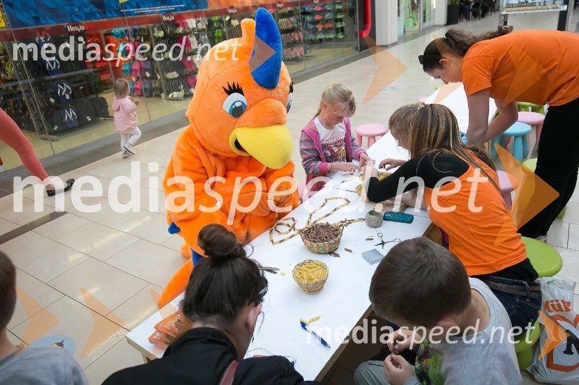 Modna revija v Qlandii Kranj