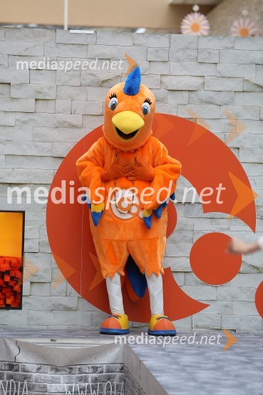 Modna revija v Qlandiji KranjModna revija v Qlandii Kranj