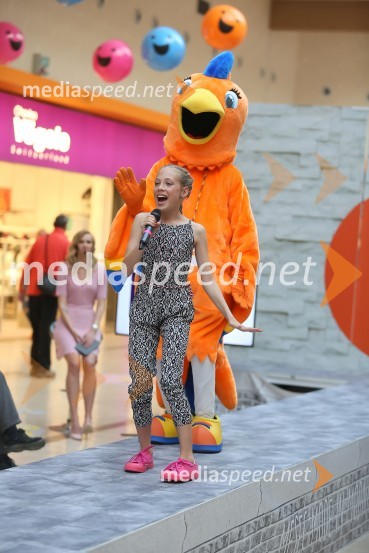 Modna revija v Qlandii Kranj