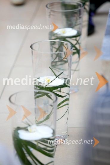 Modna revija v Qlandii Kranj