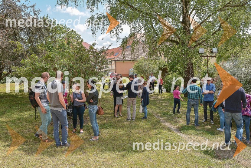 Salon Sauvignon 2016Salon Sauvignon 2016