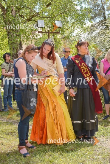  ... ;  Špela  Težak, Ptujska vinska kraljica;  Sabina  Valdhuber, Svečinska vinska kraljicaSalon Sauvignon 2016