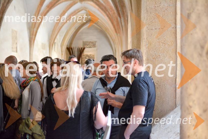 Salon Sauvignon 2016