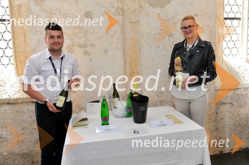 Salon Sauvignon 2016