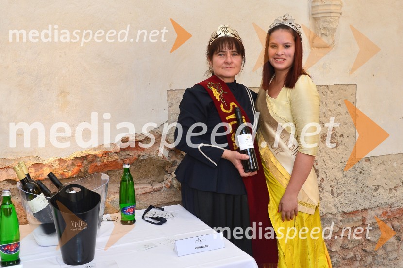 Salon Sauvignon 2016