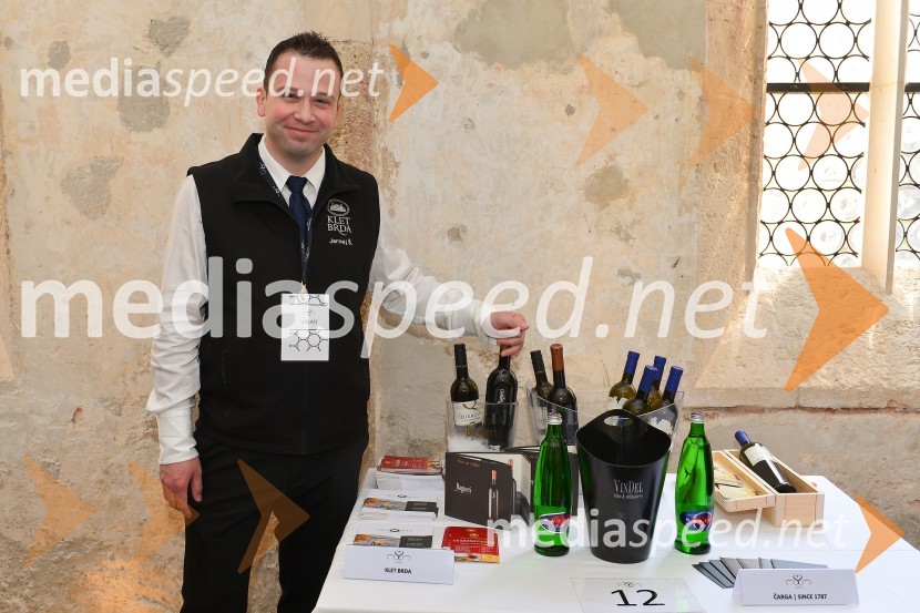 Salon Sauvignon 2016