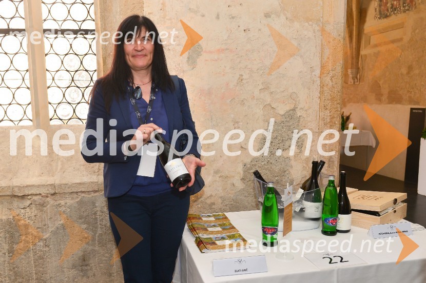 Salon Sauvignon 2016