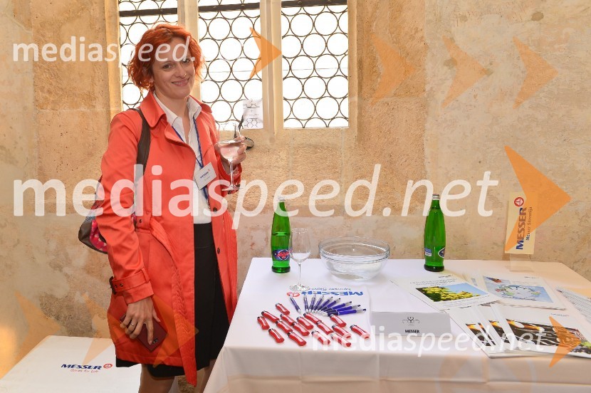 Salon Sauvignon 2016