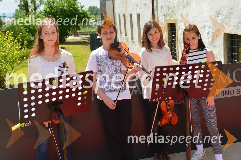 Salon Sauvignon 2016