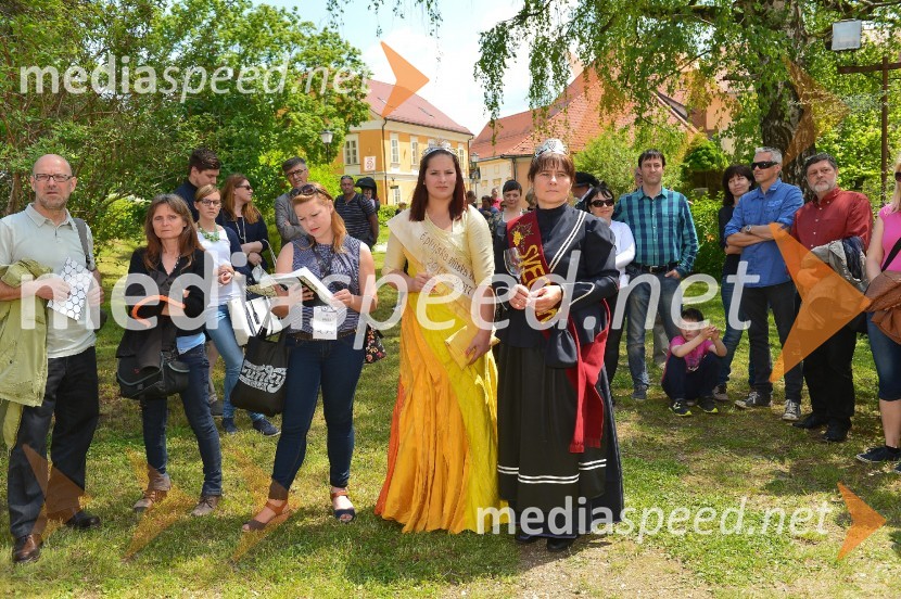 Salon Sauvignon 2016