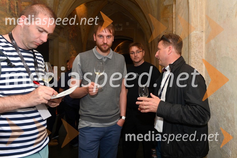 Salon Sauvignon 2016