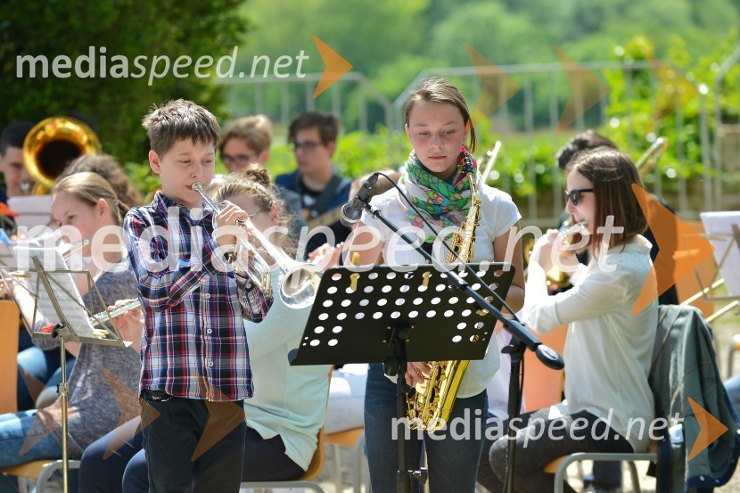 Salon Sauvignon 2016