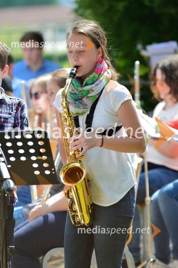 Salon Sauvignon 2016